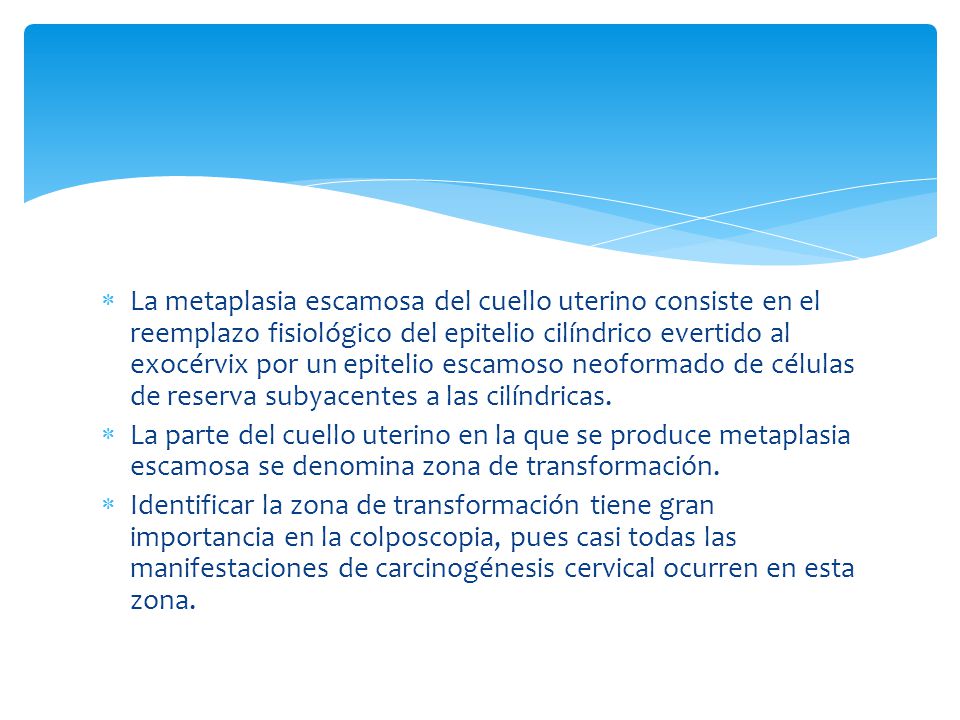La metaplasia escamosa del cuello uterino consiste en el reemplazo fisiológico del epitelio cilíndrico evertido al exocérvix por un epitelio escamoso neoformado de células de reserva subyacentes a las cilíndricas.