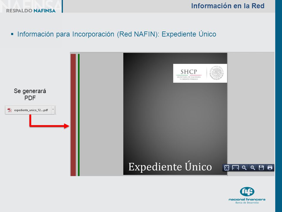 Información para Incorporación (Red NAFIN): Expediente Único