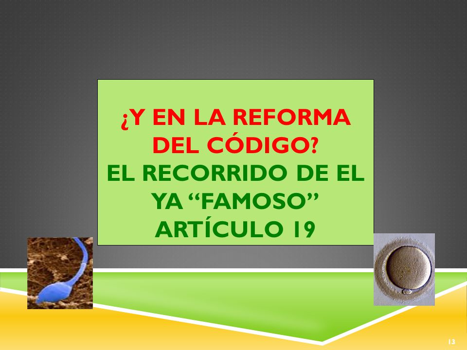 ¿Y en la Reforma del Código El recorrido de el ya famoso Artículo 19