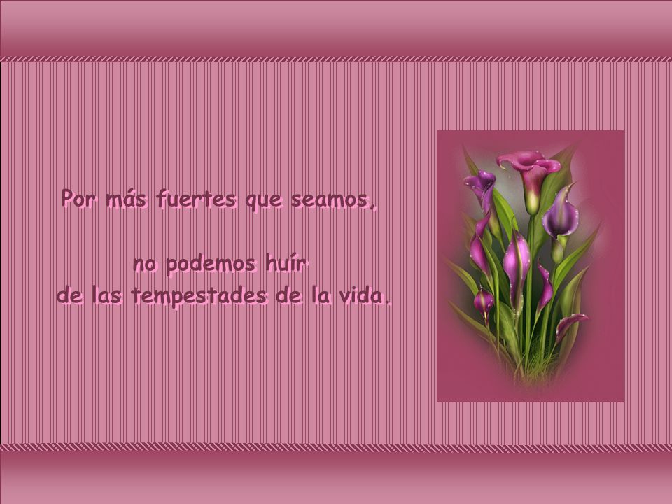 Por más fuertes que seamos, de las tempestades de la vida.