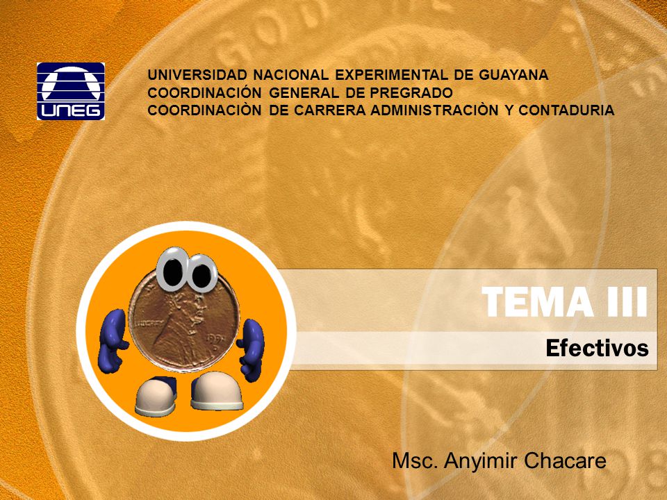 TEMA III Efectivos Msc. Anyimir Chacare