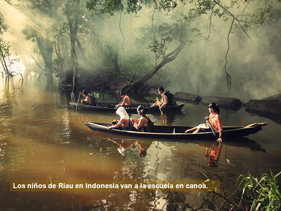 Los niños de Riau en Indonesia van a la escuela en canoa.