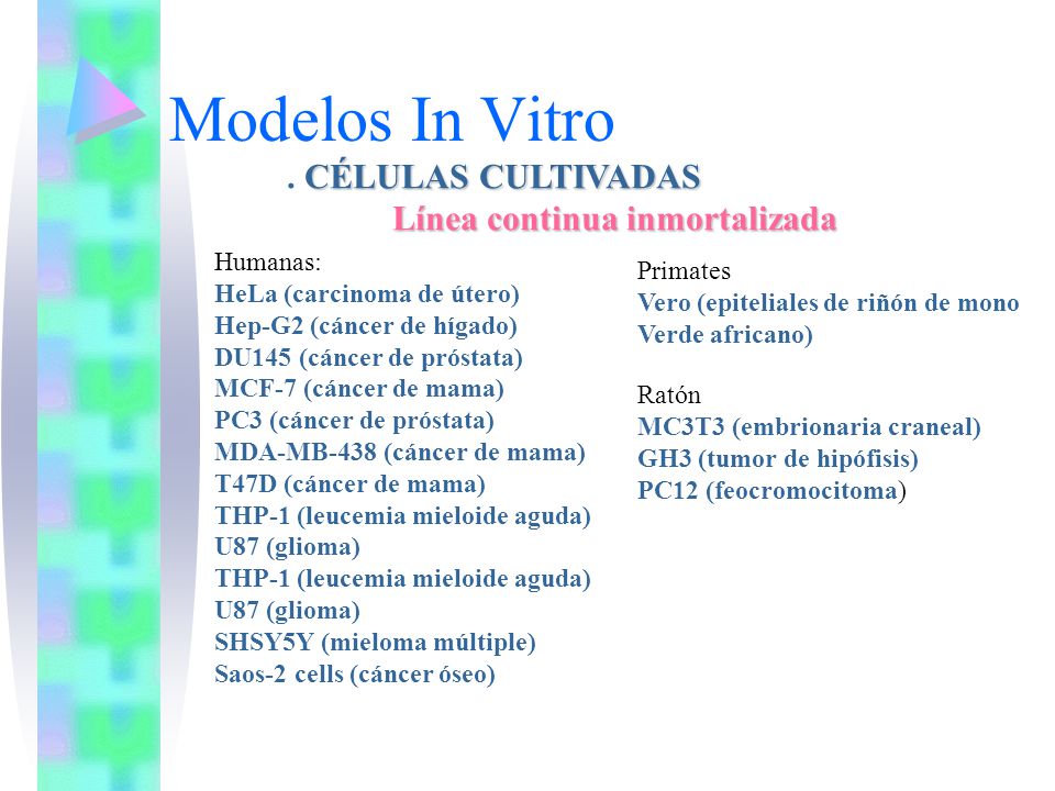 Modelos In Vitro . CÉLULAS CULTIVADAS Línea continua inmortalizada