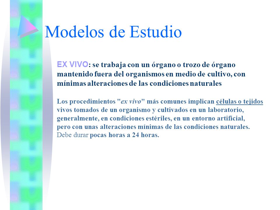 Modelos de Estudio EX VIVO: se trabaja con un órgano o trozo de órgano