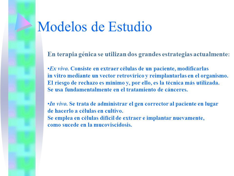 Modelos de Estudio En terapia génica se utilizan dos grandes estrategias actualmente: