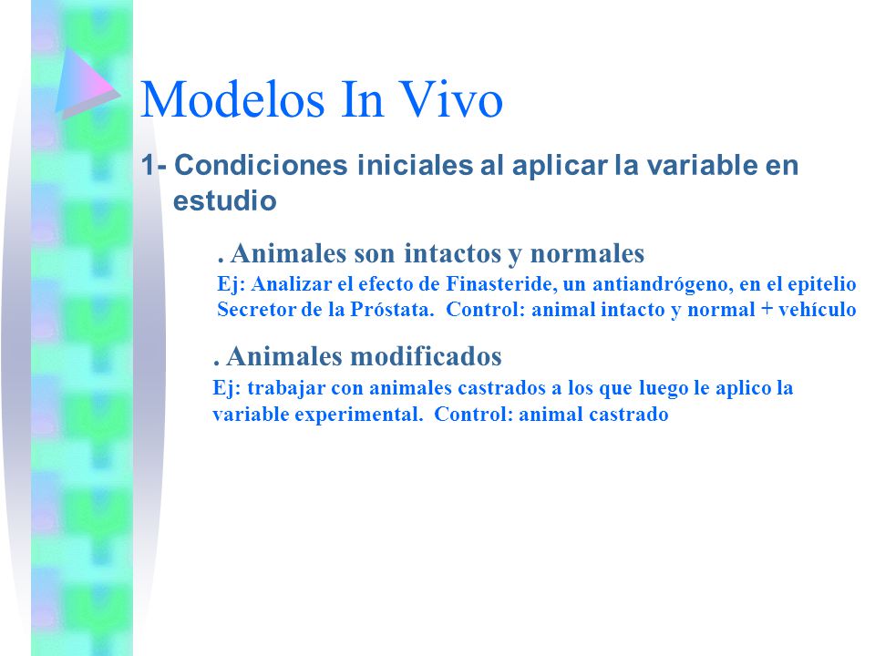Modelos In Vivo 1- Condiciones iniciales al aplicar la variable en estudio. . Animales son intactos y normales.