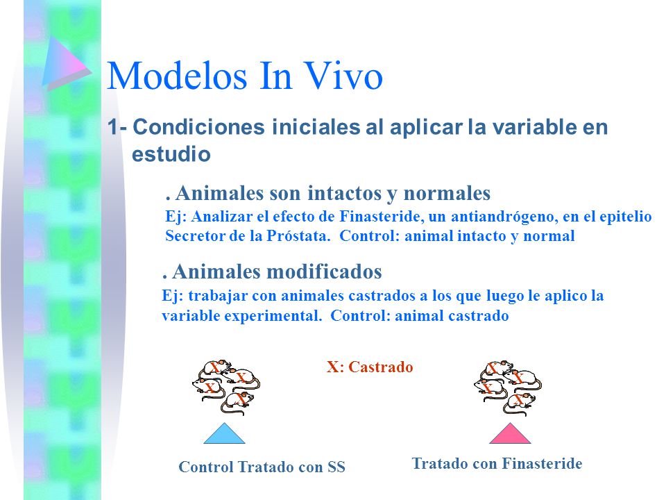 Modelos In Vivo 1- Condiciones iniciales al aplicar la variable en estudio. . Animales son intactos y normales.