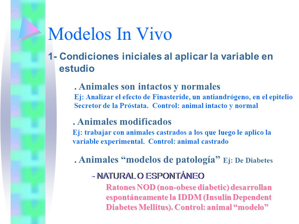 Modelos In Vivo 1- Condiciones iniciales al aplicar la variable en estudio. . Animales son intactos y normales.