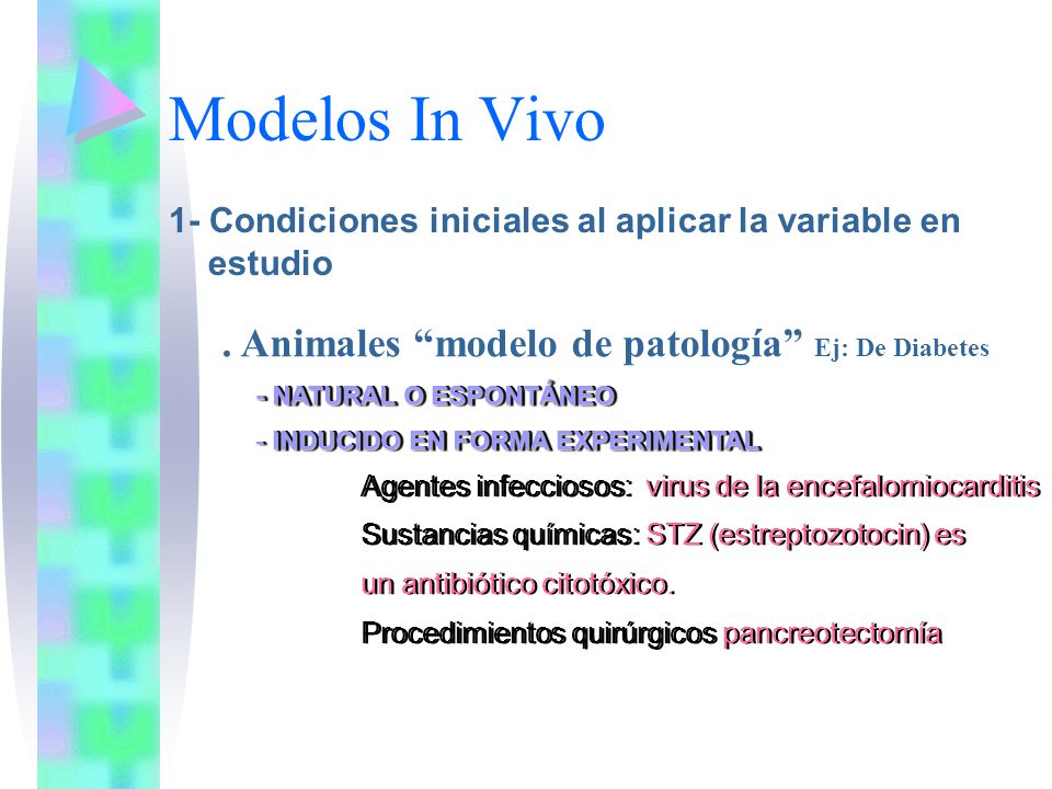 Modelos In Vivo . Animales modelo de patología Ej: De Diabetes