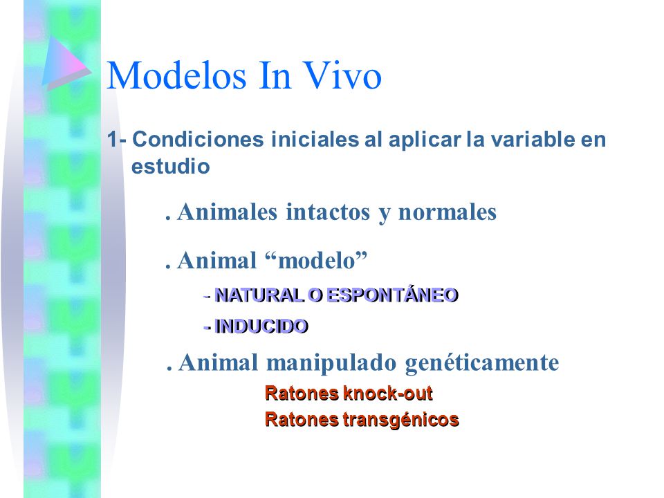 Modelos In Vivo . Animales intactos y normales . Animal modelo