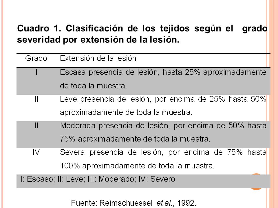 Cuadro 1. Clasificación de los tejidos según el grado severidad por extensión de la lesión.