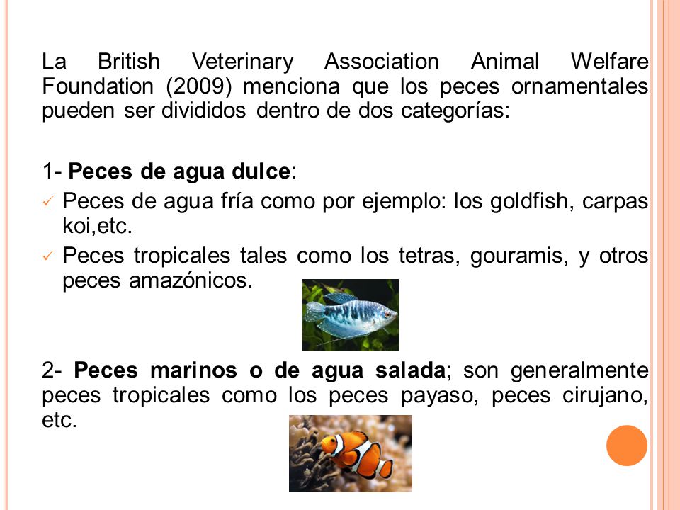 La British Veterinary Association Animal Welfare Foundation (2009) menciona que los peces ornamentales pueden ser divididos dentro de dos categorías: