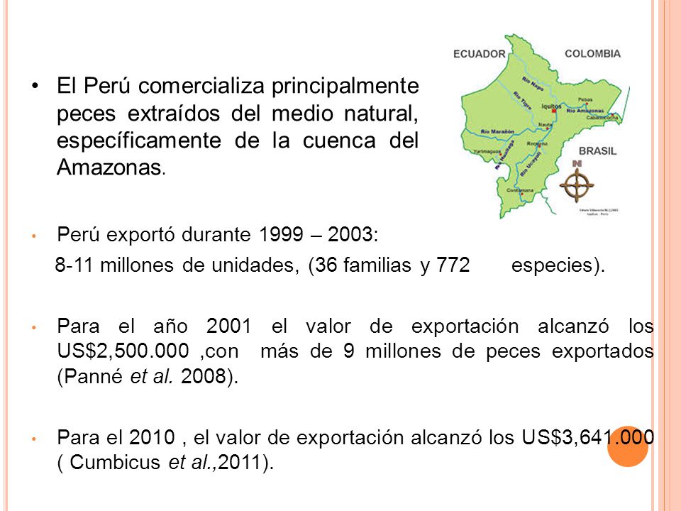 El Perú comercializa principalmente peces extraídos del medio natural, específicamente de la cuenca del Amazonas.