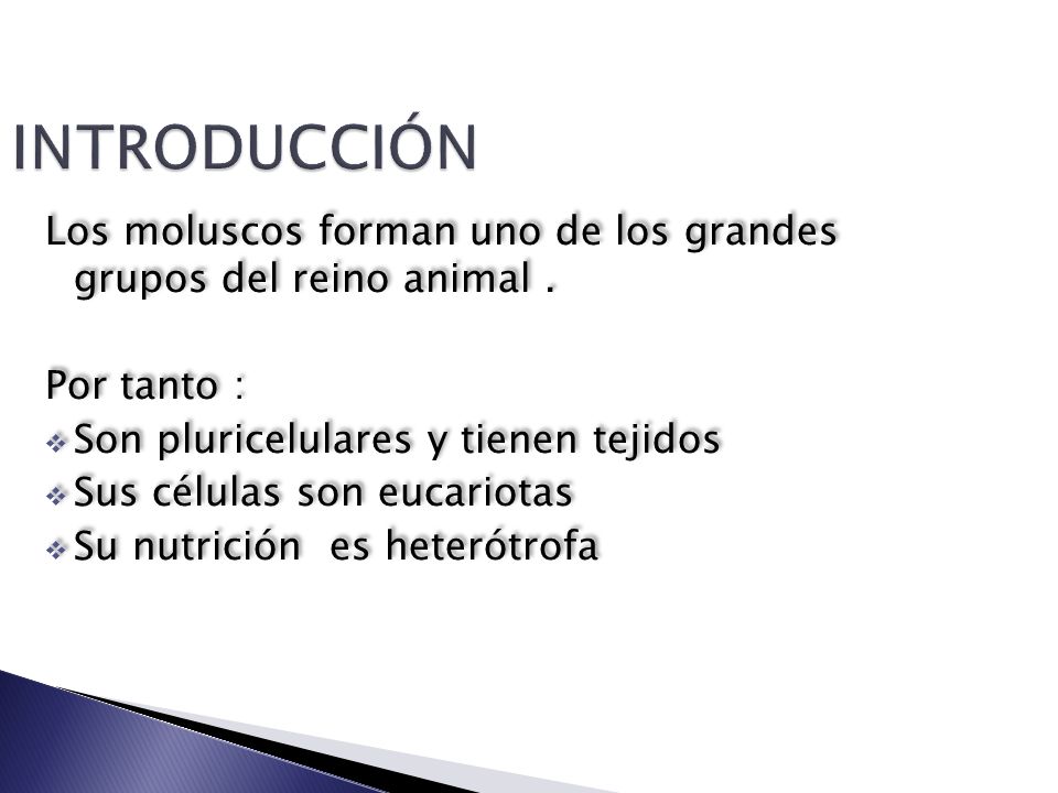 INTRODUCCIÓN Los moluscos forman uno de los grandes grupos del reino animal . Por tanto : Son pluricelulares y tienen tejidos.