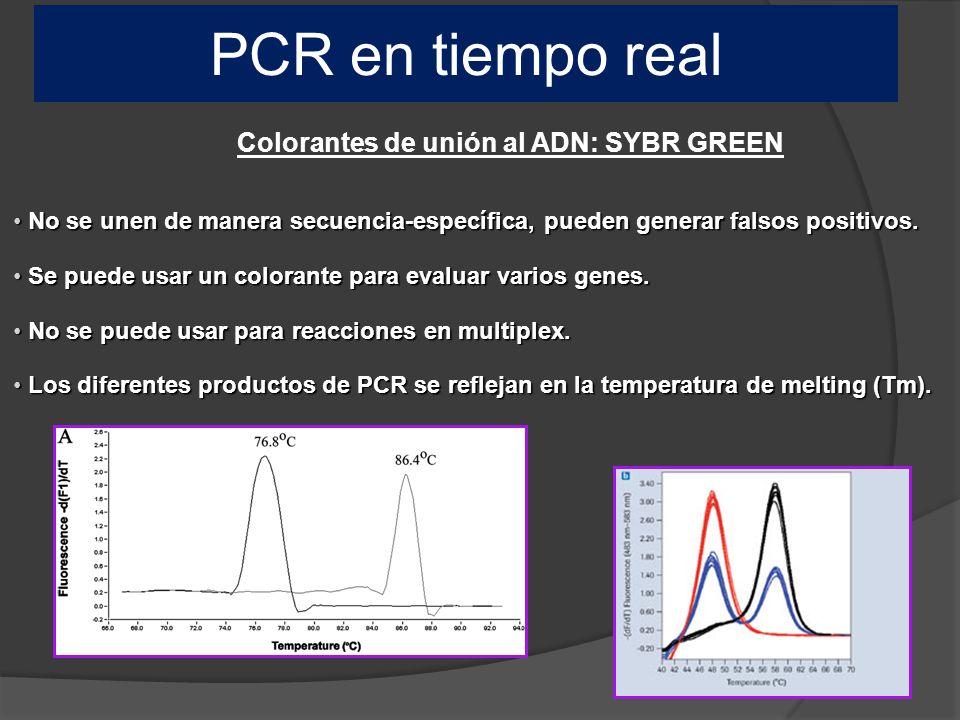 PCR en tiempo real Colorantes de unión al ADN: SYBR GREEN
