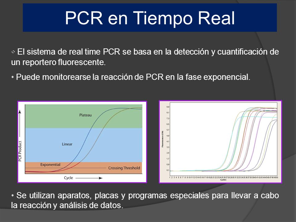 PCR en Tiempo Real El sistema de real time PCR se basa en la detección y cuantificación de un reportero fluorescente.