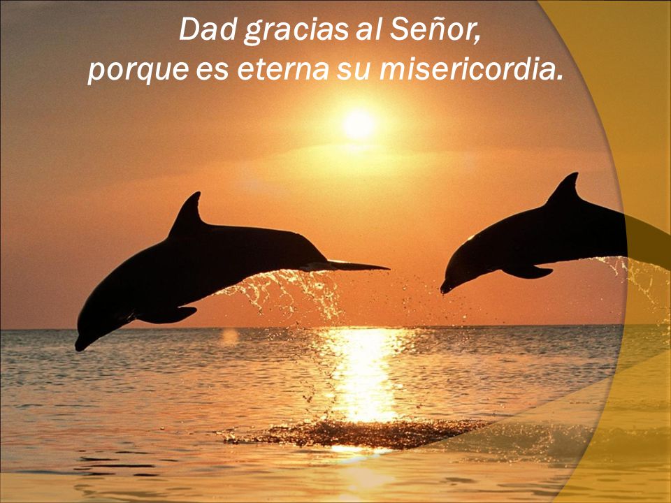 Dad gracias al Señor, porque es eterna su misericordia.