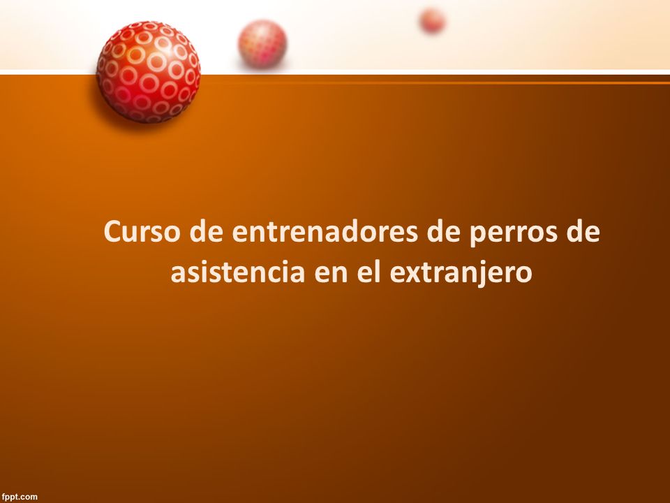 Curso de entrenadores de perros de asistencia en el extranjero