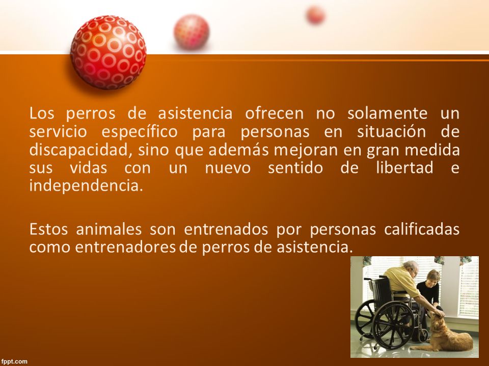 Los perros de asistencia ofrecen no solamente un servicio específico para personas en situación de discapacidad, sino que además mejoran en gran medida sus vidas con un nuevo sentido de libertad e independencia.