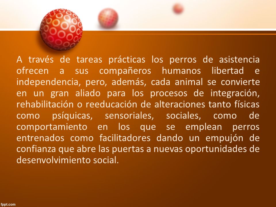 A través de tareas prácticas los perros de asistencia ofrecen a sus compañeros humanos libertad e independencia, pero, además, cada animal se convierte en un gran aliado para los procesos de integración, rehabilitación o reeducación de alteraciones tanto físicas como psíquicas, sensoriales, sociales, como de comportamiento en los que se emplean perros entrenados como facilitadores dando un empujón de confianza que abre las puertas a nuevas oportunidades de desenvolvimiento social.