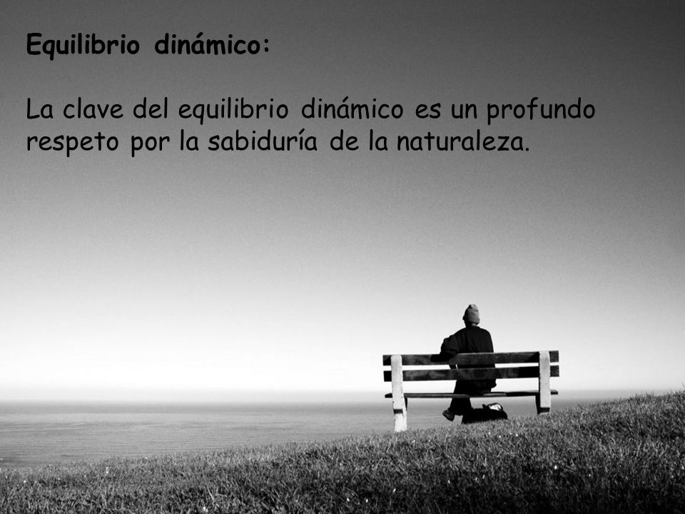Equilibrio dinámico: La clave del equilibrio dinámico es un profundo respeto por la sabiduría de la naturaleza.