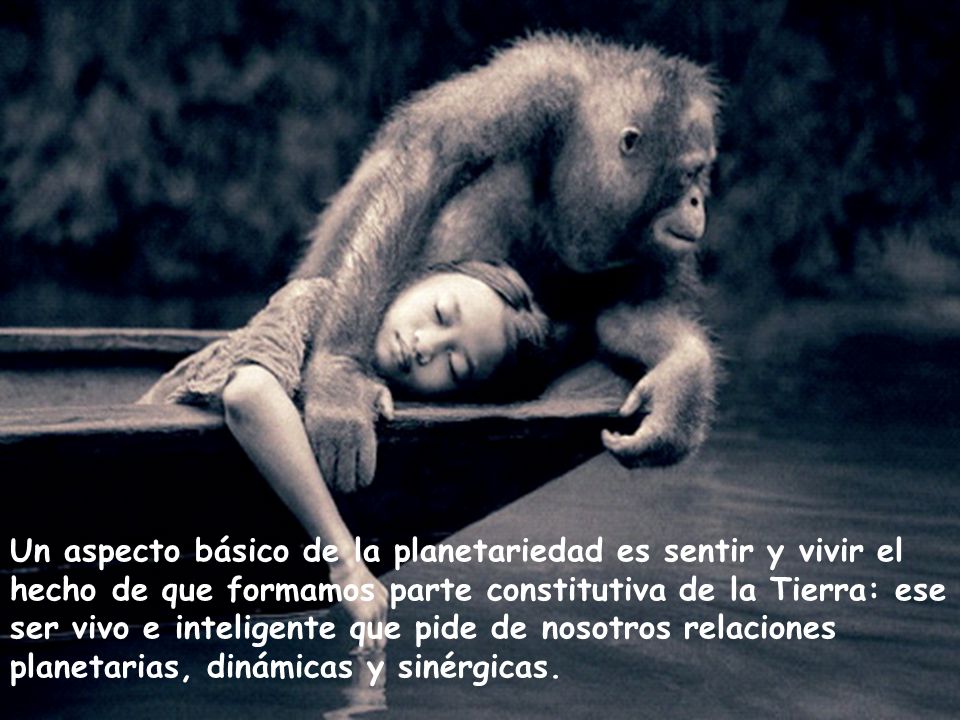 Un aspecto básico de la planetariedad es sentir y vivir el hecho de que formamos parte constitutiva de la Tierra: ese ser vivo e inteligente que pide de nosotros relaciones planetarias, dinámicas y sinérgicas.