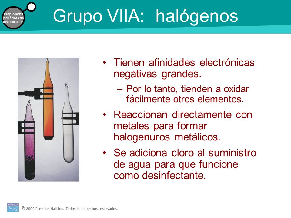 Grupo VIIA: halógenos Tienen afinidades electrónicas negativas grandes. Por lo tanto, tienden a oxidar fácilmente otros elementos.