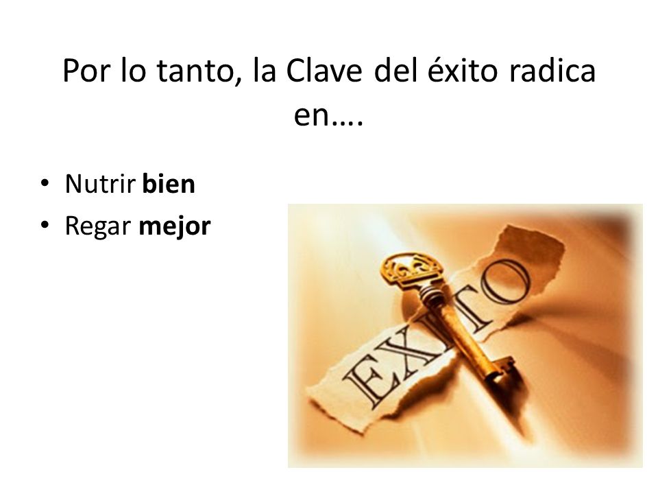 Por lo tanto, la Clave del éxito radica en….