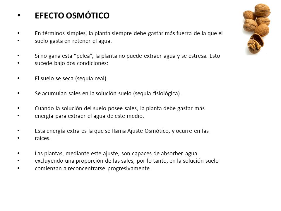 EFECTO OSMÓTICO En términos simples, la planta siempre debe gastar más fuerza de la que el. suelo gasta en retener el agua.