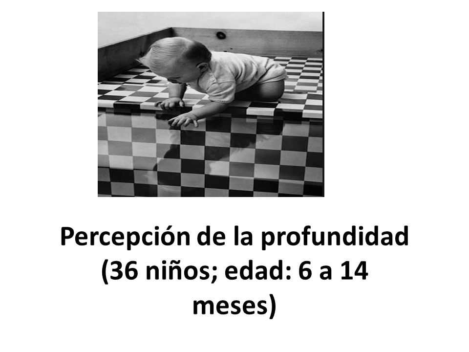 Percepción de la profundidad (36 niños; edad: 6 a 14 meses)