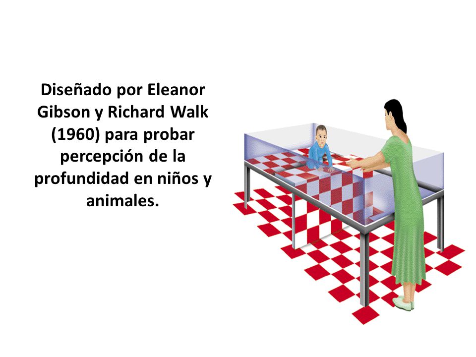 Diseñado por Eleanor Gibson y Richard Walk (1960) para probar percepción de la profundidad en niños y animales.
