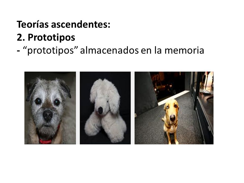 Teorías ascendentes: 2. Prototipos - prototipos almacenados en la memoria