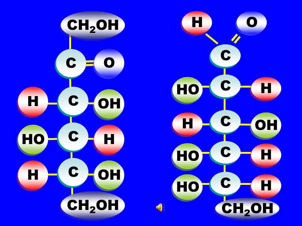 = = CH2OH H O C C O C HO H H C OH C H OH C HO H C HO H C H OH C HO H