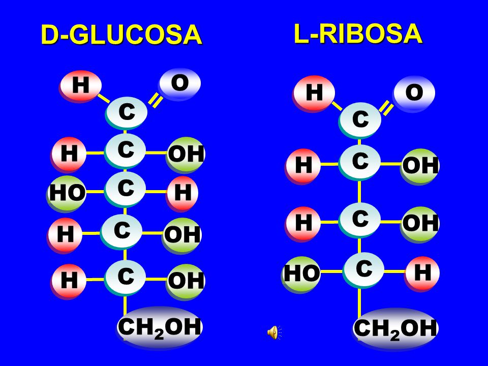 D-GLUCOSA L-RIBOSA = = H O H O C C C H OH C H OH C HO H C H OH C H OH