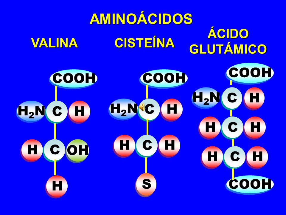 AMINOÁCIDOS COOH COOH COOH H2N C H H2N C H H2N C H H C H H C H H C OH