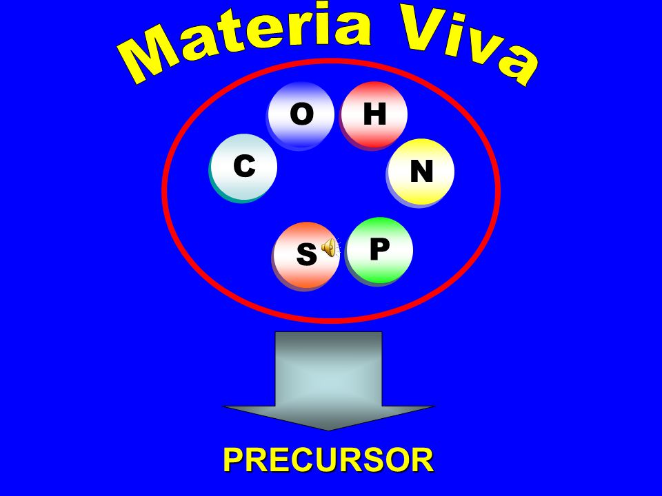 Materia Viva PRECURSOR O H C N P S Primer Trimestre. Orientadora 2.