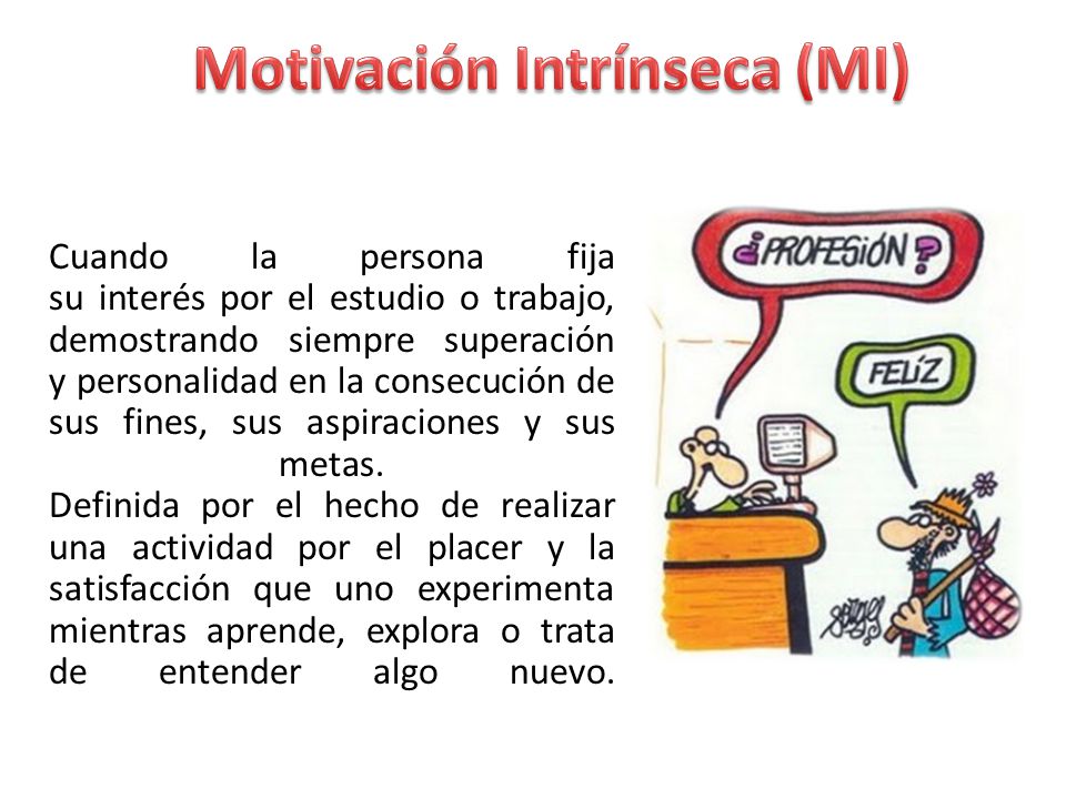 Motivación Intrínseca (MI)