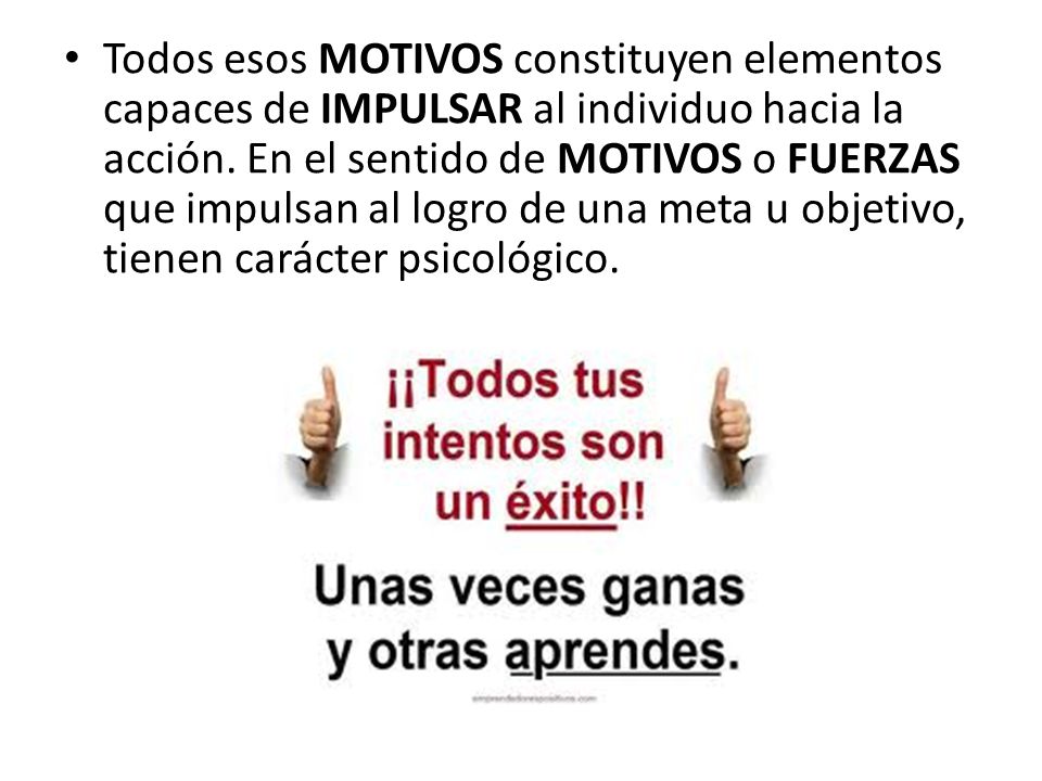 Todos esos MOTIVOS constituyen elementos capaces de IMPULSAR al individuo hacia la acción.