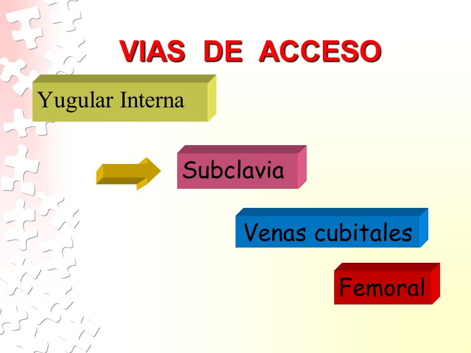 VIAS DE ACCESO Yugular Interna Subclavia Venas cubitales Femoral