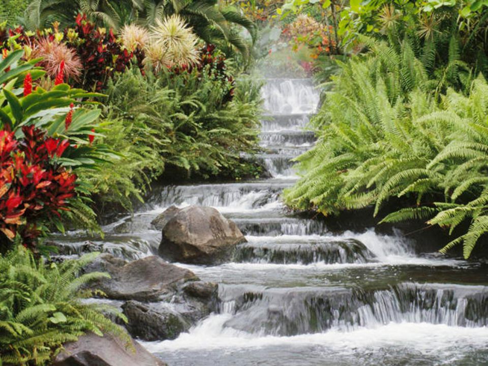 La Naturaleza La idea, en general, es la revalorización de la Naturaleza, del mundo externo, de la Creación.