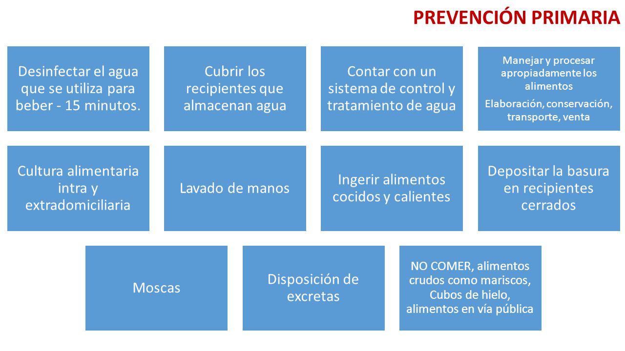 PREVENCIÓN PRIMARIA Desinfectar el agua que se utiliza para beber - 15 minutos. Cubrir los recipientes que almacenan agua.