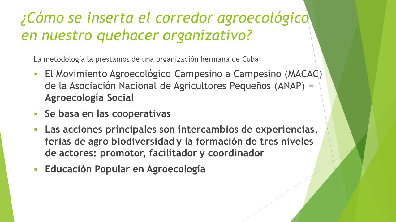 ¿Cómo se inserta el corredor agroecológico en nuestro quehacer organizativo