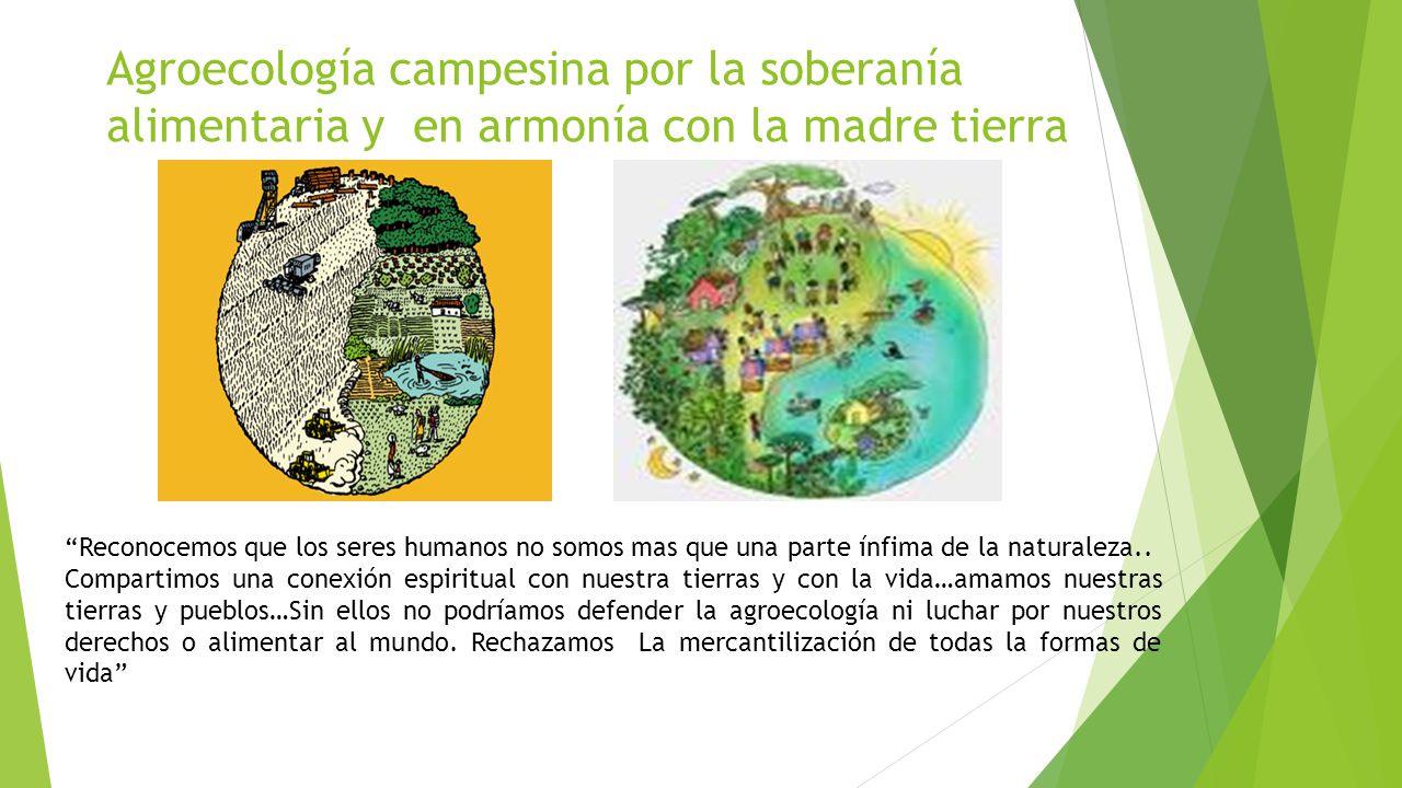 Agroecología campesina por la soberanía alimentaria y en armonía con la madre tierra