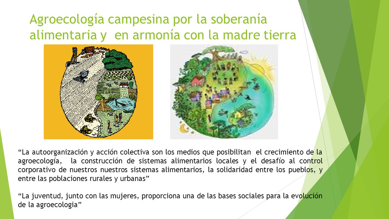 Agroecología campesina por la soberanía alimentaria y en armonía con la madre tierra