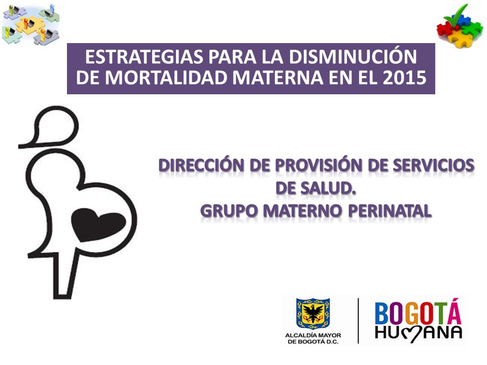 ESTRATEGIAS PARA LA DISMINUCIÓN DE MORTALIDAD MATERNA EN EL 2015
