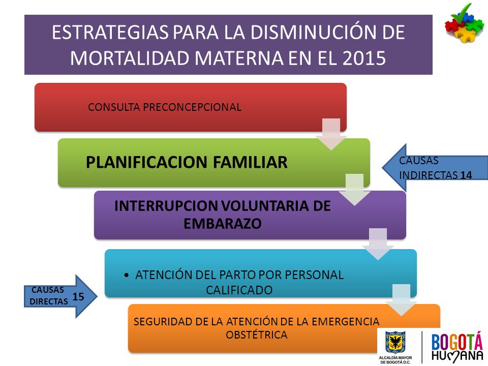 ESTRATEGIAS PARA LA DISMINUCIÓN DE MORTALIDAD MATERNA EN EL 2015