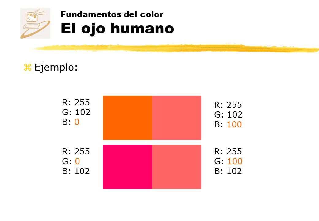 Fundamentos del color El ojo humano