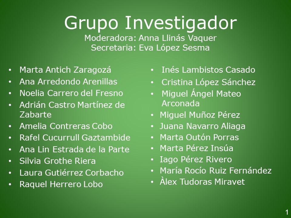 Grupo Investigador Moderadora: Anna Llinás Vaquer Secretaria: Eva López Sesma