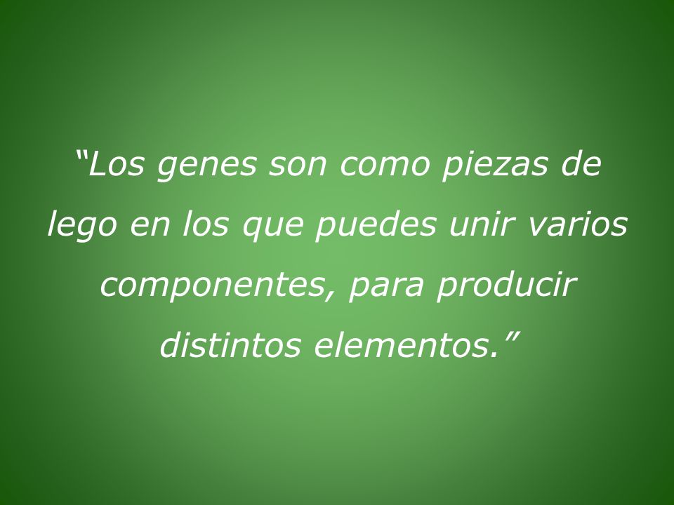 Los genes son como piezas de lego en los que puedes unir varios componentes, para producir distintos elementos.