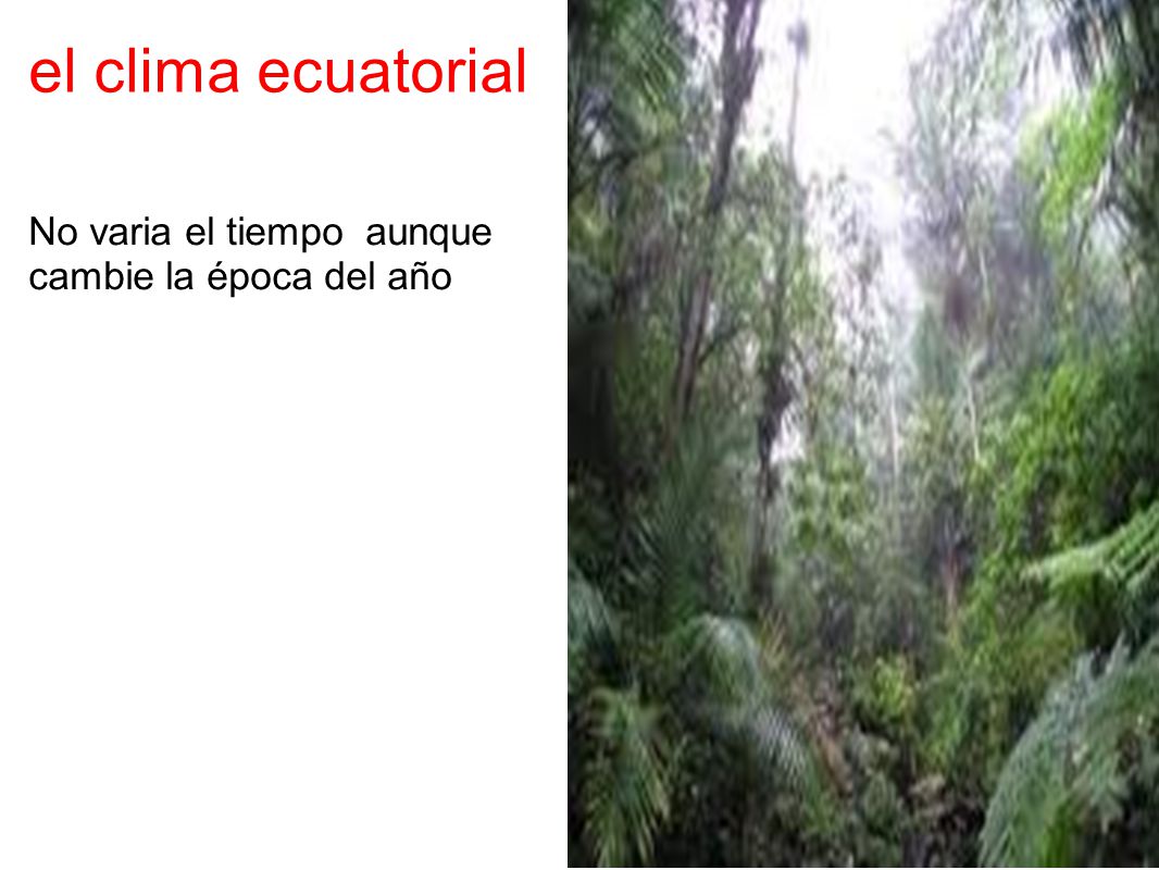 el clima ecuatorial No varia el tiempo aunque cambie la época del año